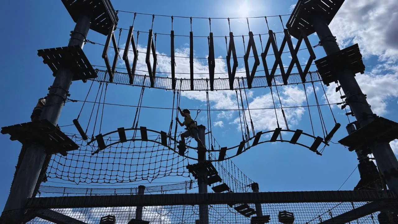 Looking up at the high ropes course at Center Parcs Le Lac d’Ailette