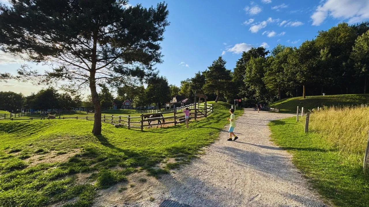 Running along a sunny path through the park at Center Parcs Le Lac d’Ailette
