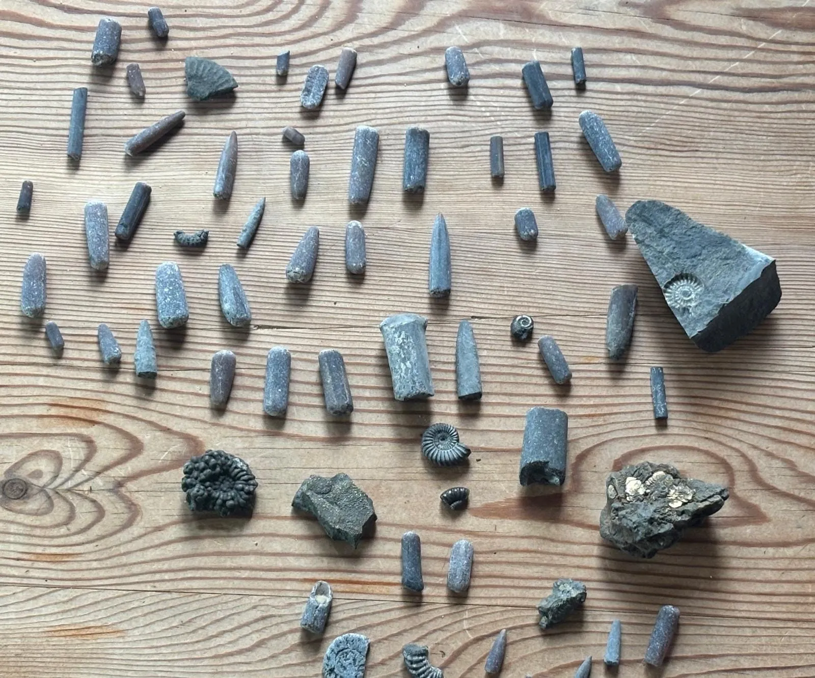 These were our finds 🥳