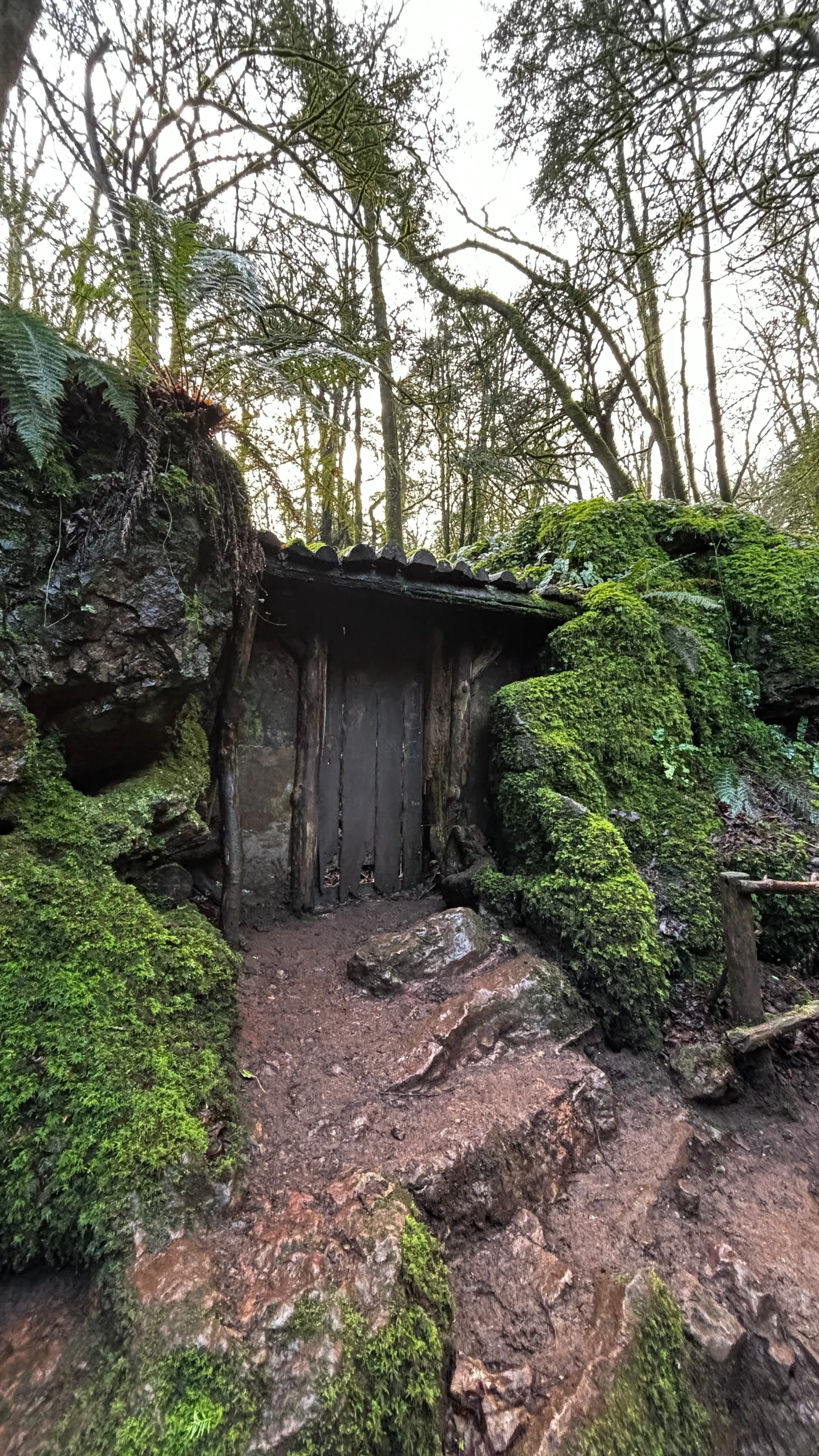 A little wooden hut among the mossy rocks at Puzzlewood