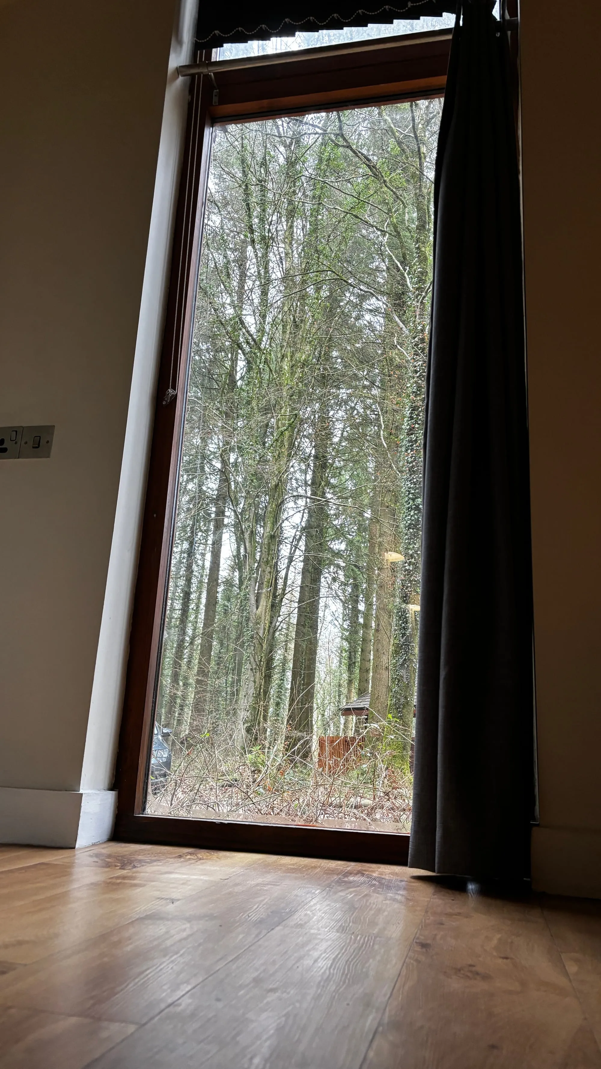 A tall cabin window framing the Forest of Dean woodland
