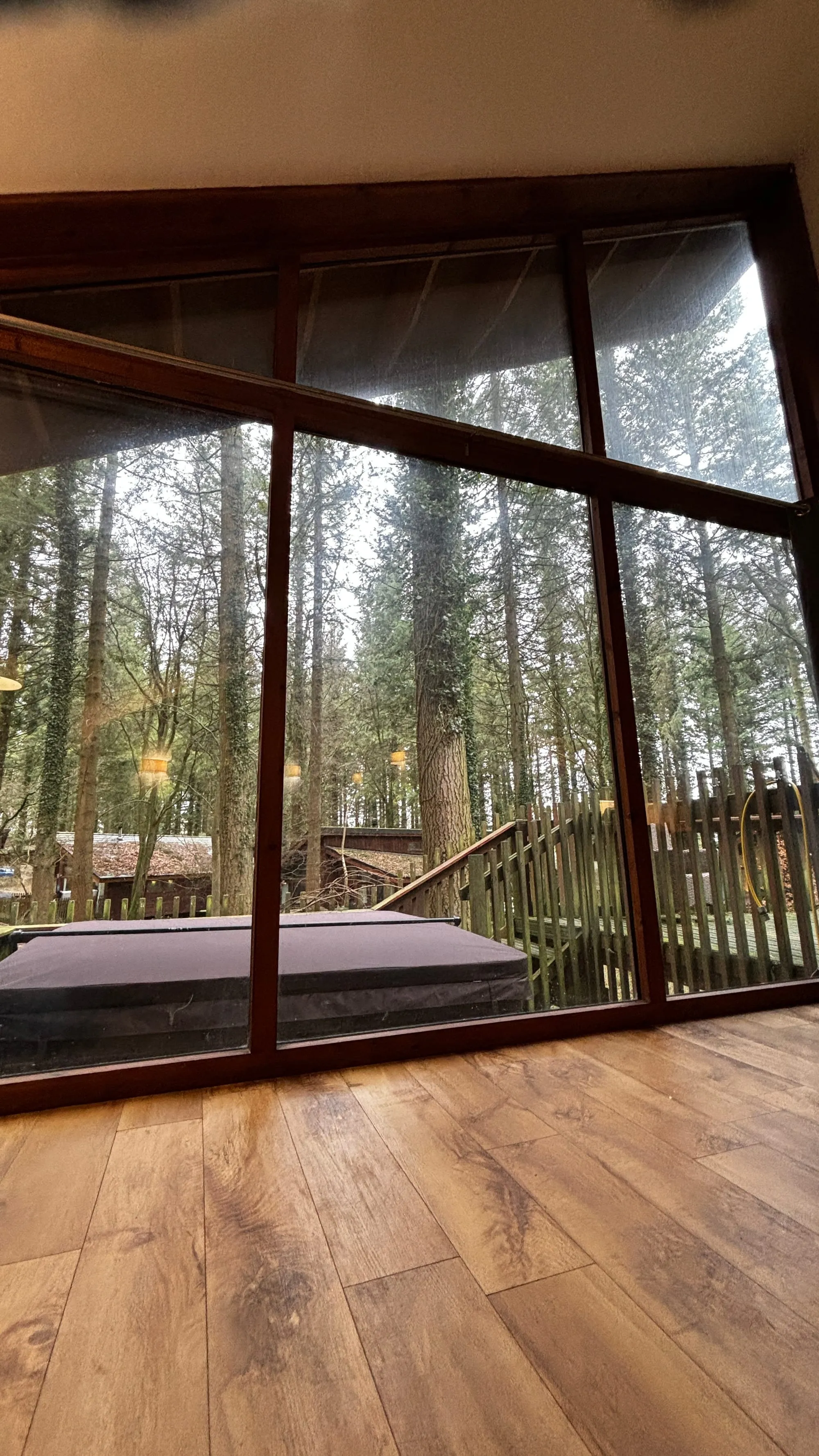 Floor-to-ceiling windows looking out on the woods from our Forest Holidays cabin