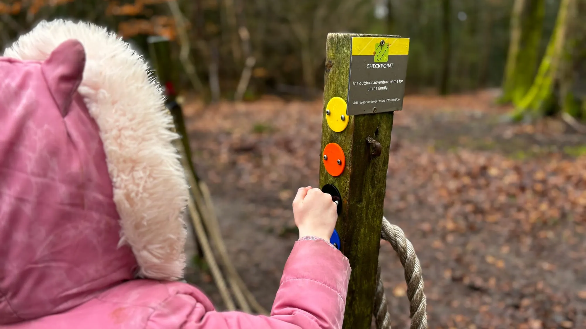 Finding one of the Checkpoint game markers in the woods